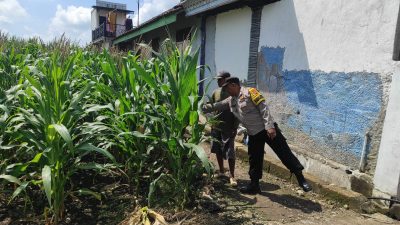 Bhabinkamtibmas Polsek Bubulan Cek Lokasi Pemanfaatan Pekarangan Bergizi