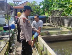 Bhabinkamtibmas Desa Tanjungsari Cek Budidaya Lele Dukung Ketahanan Pangan