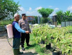 Bhabinkamtibmas Tinjau Pekarangan Pangan Bergizi di Desa Bakung Temenggungan