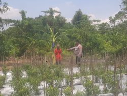 Dukung Ketahanan Pangan, Polsek Sidoarjo Kota Turun ke Warga