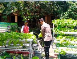 Fasum Perumahan di Candi Dijadikan Tanaman Sayur Hidroponik Dukung Ketahanan Pangan
