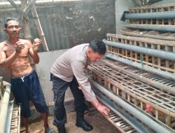 Bhabinkamtibmas Desa Jatikalang Polsek Krian Tinjau Peternakan Ayam Petelur