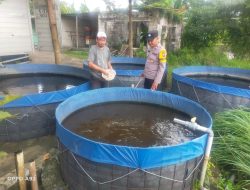 Kapolsek Taman Polresta Sidoarjo Dukung Swasembada Pangan, Bhabinkamtibmas Lakukan Pengecekan Budidaya Lele