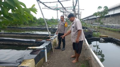 Kapolsek Wonoayu Cek Peternakan Ikan di Desa Popoh