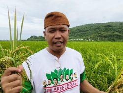 Ketua HKTI Jember  Moh. Sholeh Sosialisasi Langsung di Lahan Jelang Panen Raya Padi