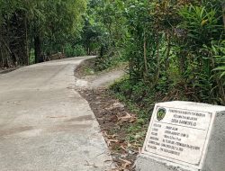 Pemdes Darmorejo Bangun Jalan Rabat Beton,  Guna Mendukung Perekonomian Warga