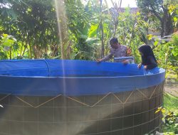 Polresta Sidoarjo Dukung Ketahanan Pangan, Bhabinkamtibmas Kujungi Kolam Lele Warga