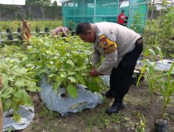 Polsek Buduran Optimalisasi Pengelolahan Lahan Peternakan dan Sayur untuk Ketahan Pangan