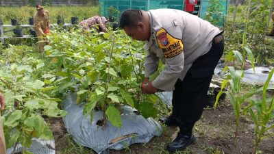 Polsek Buduran Optimalisasi Pengelolahan Lahan Peternakan dan Sayur untuk Ketahan Pangan