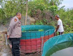 Polsek Prambon Dampingi Warga Wujudkan Swasembada Pangan Mandiri