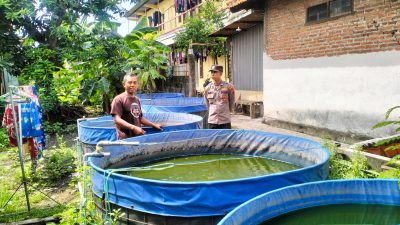 Polsek Tulangan Cek Program Ketahan Pangan Budidaya Ikan Lele