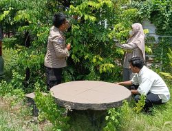 Polsek Waru Masifkan Peran Bhabinkamtibmas Cek Perkembangan Tanaman Ketahanan Pangan