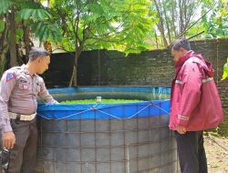 Polsek Wonoayu Cek Budidaya Ikan Mujaer, Wujudkan Ketahanan Pangan