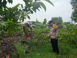 Polsek Tanggulangin Optimalkan Lahan Non Produktif Menjadi Pekarangan Pangan Bergizi di Desa Ketegan