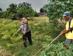 Warga Desa Kedungsukodani Peduli Ketahan Pangan