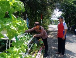 Warga Perum MCG Antusias Tanam Sayur Hidroponik Dukung Ketahanan Pangan