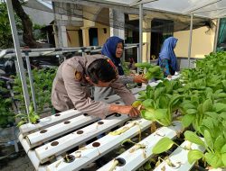 Bhabinkamtibmas Desa Bungurasih Ajak Warga Manfaatkan Lahan Tidur untuk Tanaman Sayuran