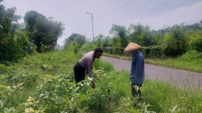 Bhabinkamtibmas Desa Keboguyang Dampingi Warga Wujudkan Swasembada Pangan