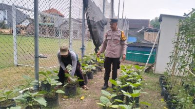 Bhabinkamtibmas Desa Entalsewu Dukung Program Ketahanan Pangan Lewat Pendampingan Warga