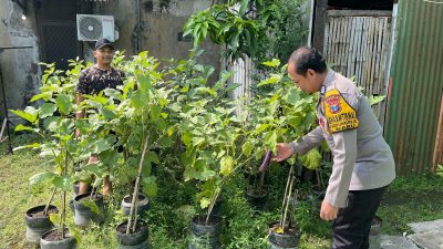 Bhabinkamtibmas Desa Kedungrejo Polsek Waru Cek Perkembangan Tanaman Sayur