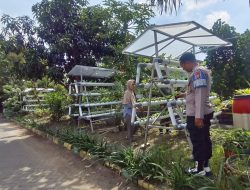 Bhabinkamtibmas Desa Sumorame Bersinergi Dengan Ketua Bumdes Giat Tanaman Sawi Hidroponik