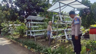Bhabinkamtibmas Desa Sumorame Bersinergi Dengan Ketua Bumdes Giat Tanaman Sawi Hidroponik