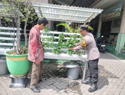 Bhabinkamtibmas Desa Tenggulunan Berikan Penyuluhan Hidroponik Dukung Ketahan Pangan