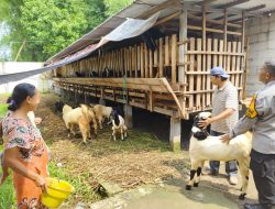 Bhabinkamtibmas Desa Grogol Tinjau Lahan Pekarangan untuk Dukung Ketahanan Pangan Desa