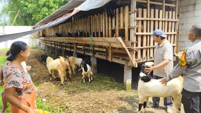 Bhabinkamtibmas Desa Grogol Tinjau Lahan Pekarangan untuk Dukung Ketahanan Pangan Desa