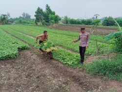 Polri Cinta Petani: Bhabinkamtibmas Desa Modong Giatkan Pekarangan Pangan Bergizi