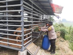 Bhabinkamtibmas Sidoarjo Ajak Warga Maksimalkan Perawatan Ternak Kambing Dukung Ketahanan Pangan