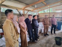 Bumdes Negara Batin Makmur Lounching Usaha Ayam Petelur, Pertama di Sungkai Utara