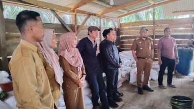 Bumdes Negara Batin Makmur Lounching Usaha Ayam Petelur, Pertama di Sungkai Utara