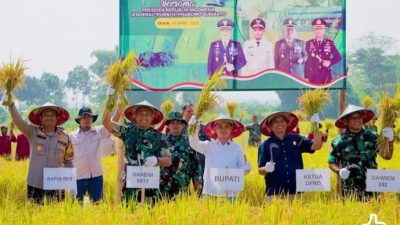 Bupati Gus Barra Didampingi Wakil Ketua DPRD Kabupaten Mojokerto, Forkompimda dan Camat Dlanggu Panen Raya Padi Serentak di Desa Kalen