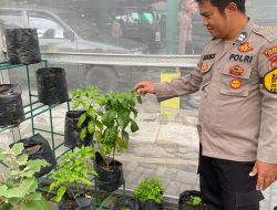 Dukung Asta Cita Ketahanan Pangan, Polsek Tulangan Polresta Sidoarjo Terjun ke Lahan Pertanian Warga