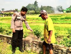 Dukung Ketahan Pangan Nasional, Polsek Krembung Tinjau Lahan Pertanian Milik Warga