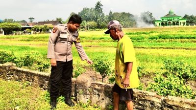 Dukung Ketahan Pangan Nasional, Polsek Krembung Tinjau Lahan Pertanian Milik Warga