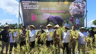 Forkopimda Jember Ikuti Panen Raya Padi Serentak di Desa Lojejer