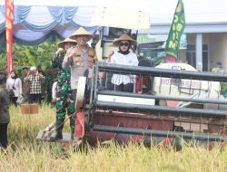 Forkopimda Sidoarjo Ikuti Panen Raya Padi Serentak di Desa Kemuning Tarik