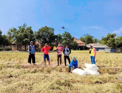 Petani Bojonegoro Kelimpungan saat MT2, Pemerintah Daerah Hanya Bisa Kirim Surat