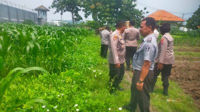 Polresta Sidoarjo Lakukan Monitoring Program Ketahanan Pangan di Dua Lahan Wilayah Kecamatan Porong