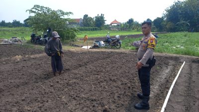 Polsek Krembung Dukung Program Ketahanan Pangan Bergizi Lewat Pengelolahan Lahan Bawang Merah di Desa Lemujut