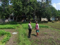 Polsek Sukodono Dukung Warga Gelorakan Ketahanan Pangan Sayur Kangkung