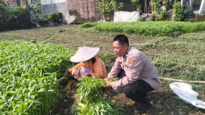 Polsek Tulangan Polresta Sidoarjo Gerak Cepat Wujudkan Swasembada Pangan Lewat Pemanfaatan Lahan Pekarangan