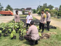 Satgas Ketahanan Pangan Polresta Sidoarjo Cek Lahan P2B Desa Lemujut Krembung