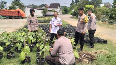 Satgas Ketahanan Pangan Polresta Sidoarjo Cek Lahan P2B Desa Lemujut Krembung
