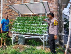 Ajak Lestarikan Tanaman Hidroponik di Desa Bligo, Optimis Perkuat Ketahanan Pangan Warga