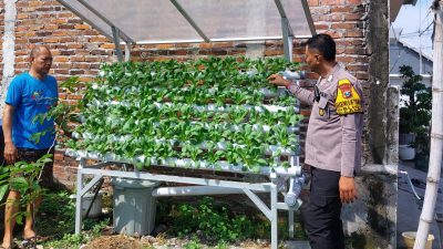 Ajak Lestarikan Tanaman Hidroponik di Desa Bligo, Optimis Perkuat Ketahanan Pangan Warga