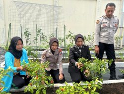 Bangkitkan Semangat Ketahanan Pangan ke Anggota, Polresta Sidoarjo Optimalkan Lahan P2L