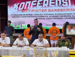 Dittipidter Bareskrim Polri Bongkar Perdagangan Gading Gajah Ilegal di Sukabumi dan Jakarta